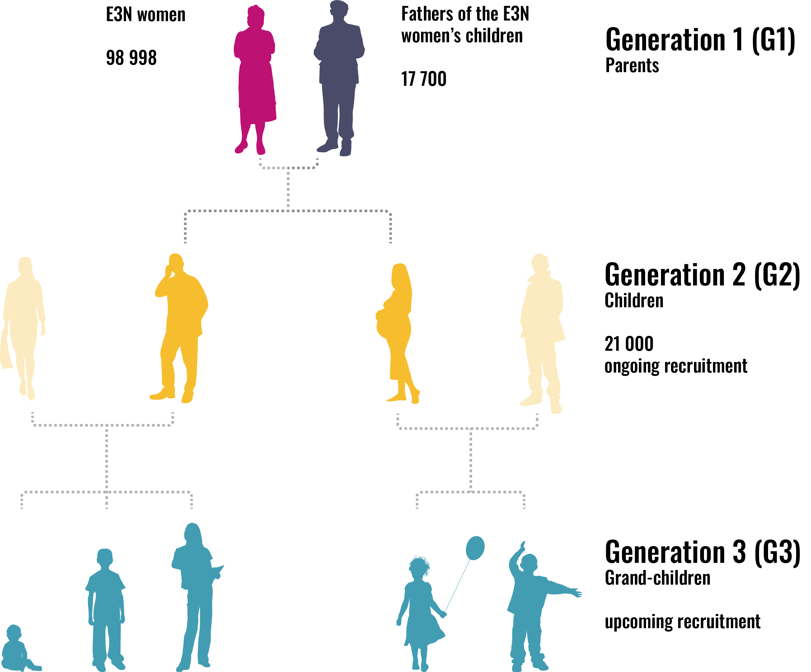 Diagram of the 3 generations